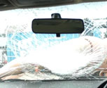 Man falling through windscreen simulation
