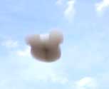 Flying Logos