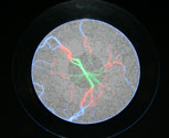 Lightning / plasma disk high voltage effect prop - tri coloured