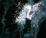 Fireworks - Stella