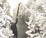 UK Attraction - Snow Transformation