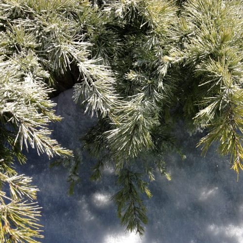 Paper Snow Frost, 20kg - Image 6