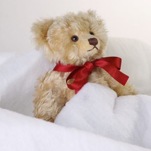 Snow Blanket - Image 3
