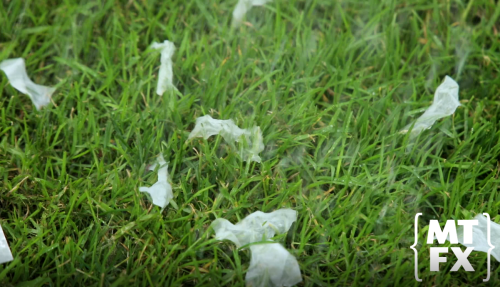 water dissolvable confetti